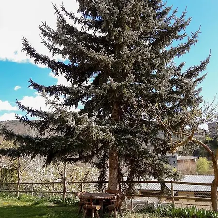 El Jardí - Con Jardín En Casa rural Arfa